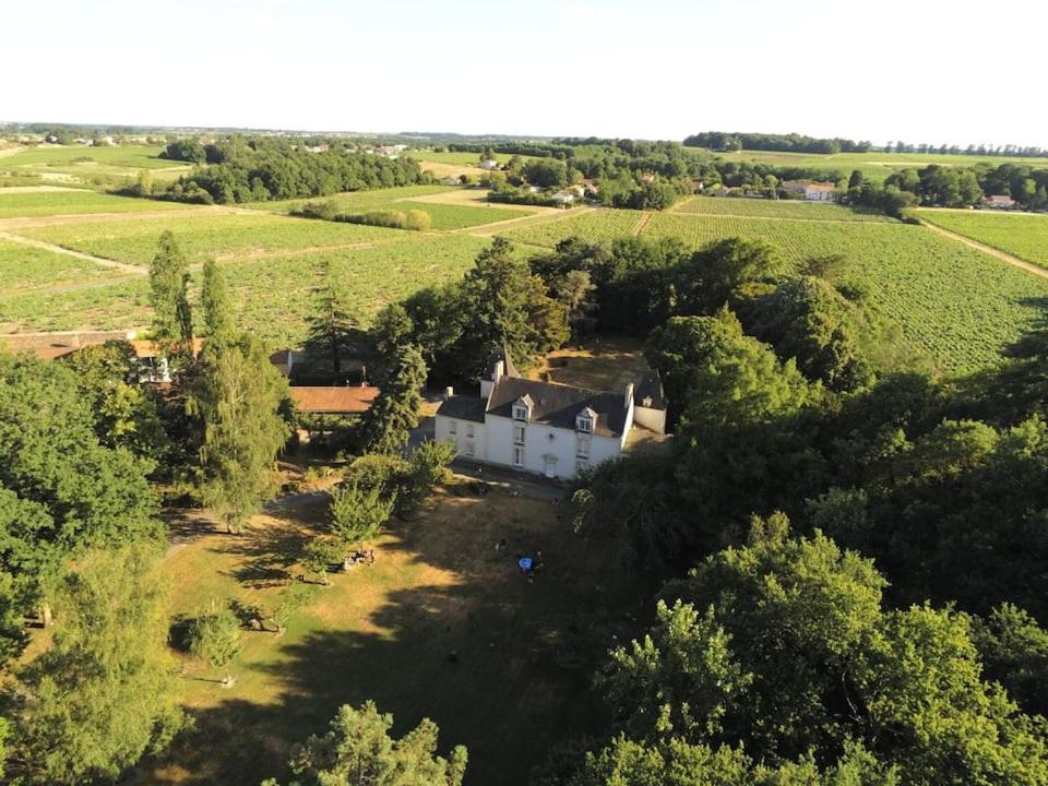 Du Vignoble A L'Atlantique - Chateau Cassemichere Gite La Chapelle-Heulin Bagian luar foto
